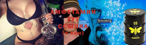 мдпв Верея